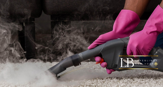 Steam Cleaner