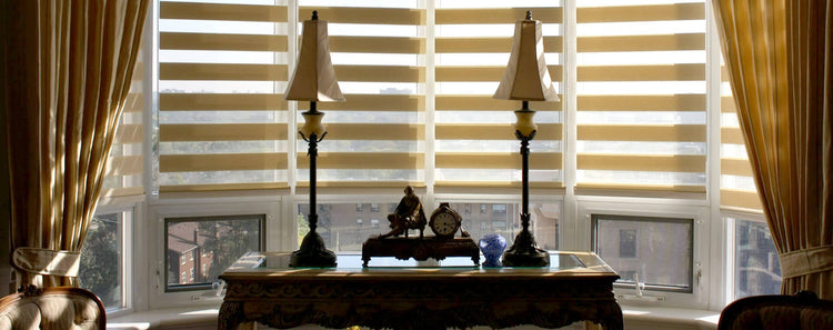 What do Zebra Window Blinds & Shades refer to?