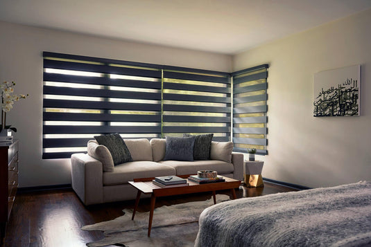 Everything You Need to Know About Zebra Window Blinds & Shades 